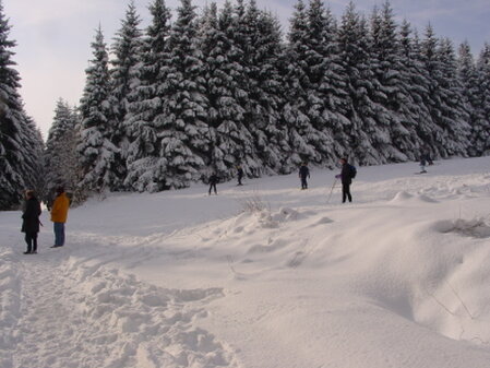 Wintersportgebiet Schwarzer Mann / Wintersportgebiet Wolfsschlucht